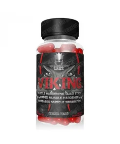 warrior viking 1 2 768x768 1