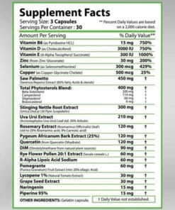 eng pm Prostate vita shield 90 caps 1732 2